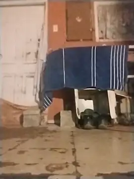 brownfeet online show from 01.18.25