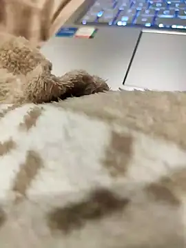 Bemgalado online show from 01.03.25