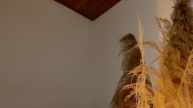 SaraFerreira online show from 12.12.24