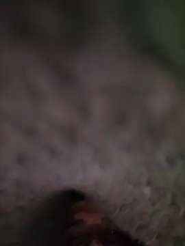 Casablancabig online show from 03.18.25