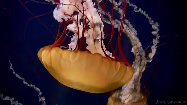 Snapshot of streamy_test12 chatting on 02.05.26 streamy test12 online show from 02.05.26