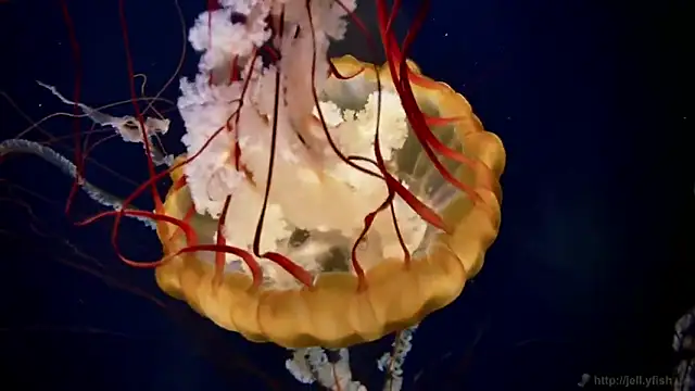 Snapshot of streamy_test12 chatting on 03.05.26 streamy test12 online show from 03.05.26