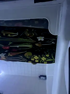 Snapshot of RawRyder8 chatting on 11.18.25 RawRyder8 online show from 11.18.25