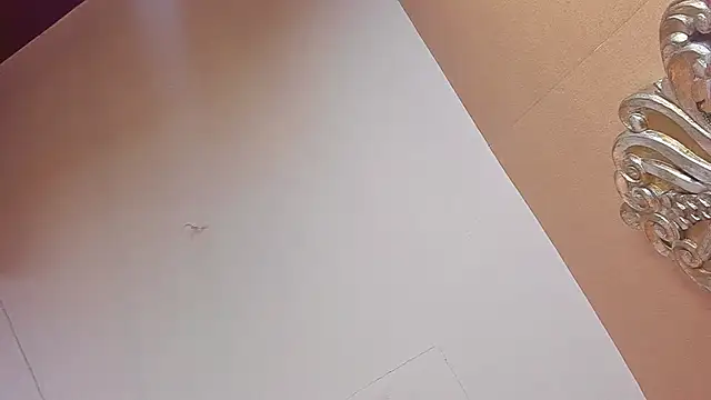 Celeste Baker  online show from 03.18.26