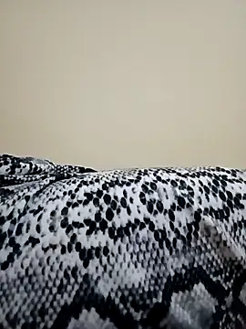 dinaa-18 online show from 11.12.25