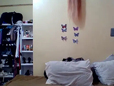 Zara Twilight online show from 01.11.26