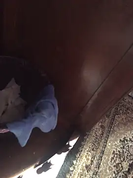 TangoingSorbet online show from 11.02.25