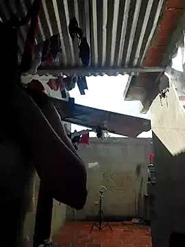 room 24funn online show from 01.23.25