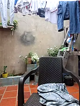 room 24funn online show from 01.31.26