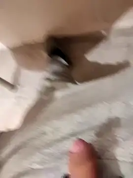 Snapshot of skrigul12 chatting on 12.14.24 skrigul12 online show from 12.14.24