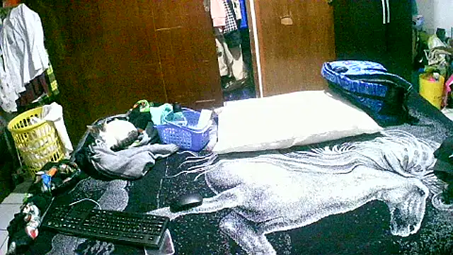 jperezofficial1 online show from 09.13.25