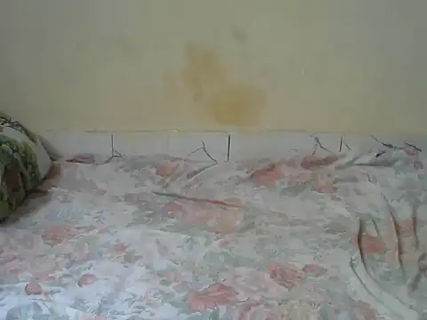 Zenath  online show from 02.27.26