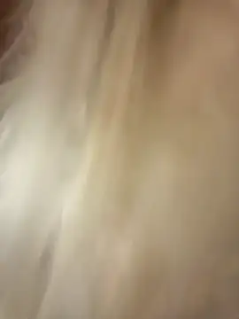 -RIVIERA- online show from 02.11.25