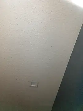 cozydadd online show from 04.23.26