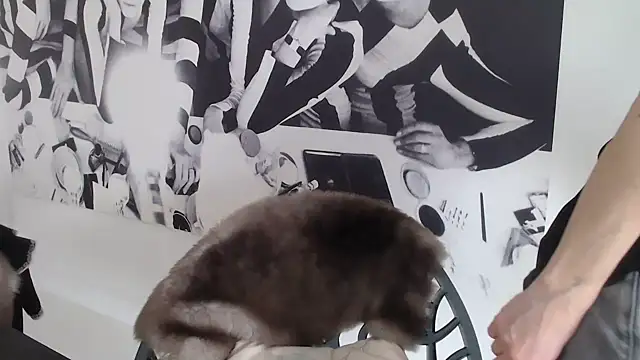 godinflower online show from 02.21.26