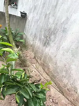 king cum  online show from 02.18.26