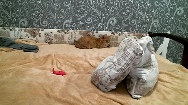 DennisXCaroll online show from 02.19.25