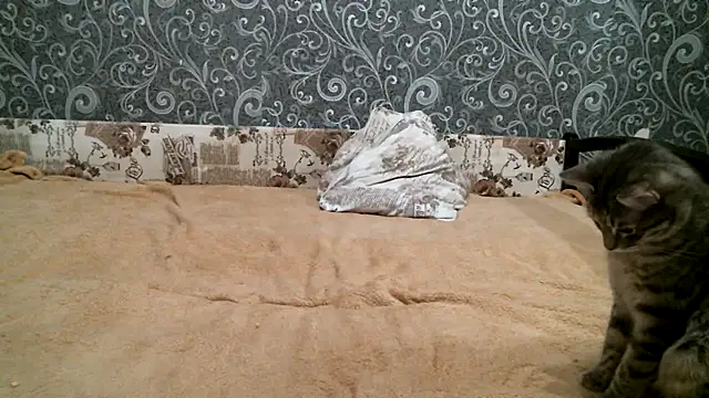 DennisXCaroll online show from 02.23.25