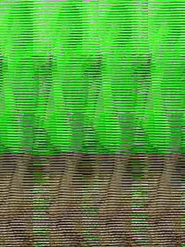 HimiJim online show from 11.10.25