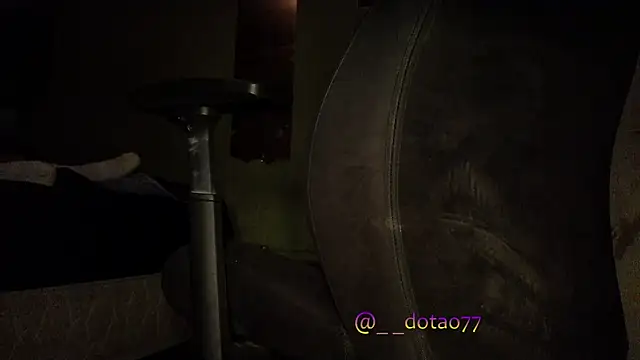 Snapshot of doTao7 chatting on 01.06.26 doTao7 online show from 01.06.26