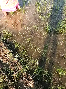 hairipussy2 online show from 02.07.25