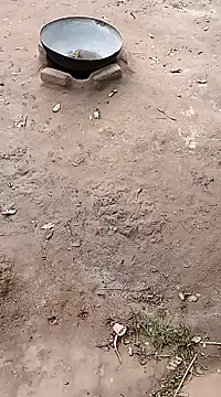 hairipussy2 online show from 02.20.25