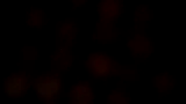 leatherz69 online show from 02.27.25