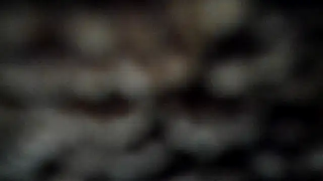 leatherz69 online show from 03.07.25