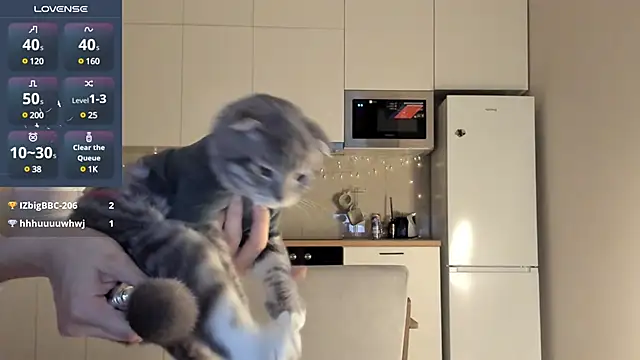 fairy di online show from 12.23.24