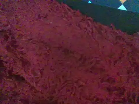 Snapshot of RoxiRedXXX chatting on 01.11.25 RoxiRedXXX online show from 01.11.25