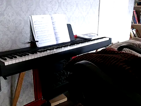 Snapshot of MrStraightDik chatting on 02.25.25 MrStraightDik online show from 02.25.25