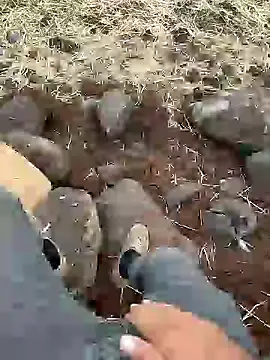 Snapshot of murokkk31 chatting on 12.11.24 murokkk31 online show from 12.11.24