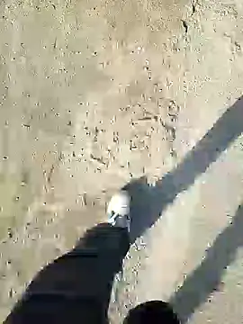 Snapshot of murokkk31 chatting on 12.31.24 murokkk31 online show from 12.31.24