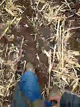 Snapshot of murokkk31 chatting on 01.05.25 murokkk31 online show from 01.05.25