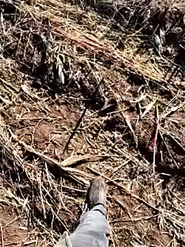 murokkk31 online show from 12.14.25