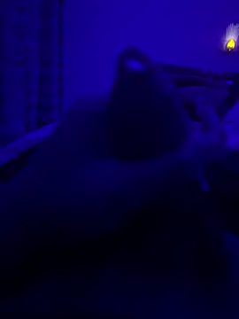 thecockybouy online show from 03.02.25