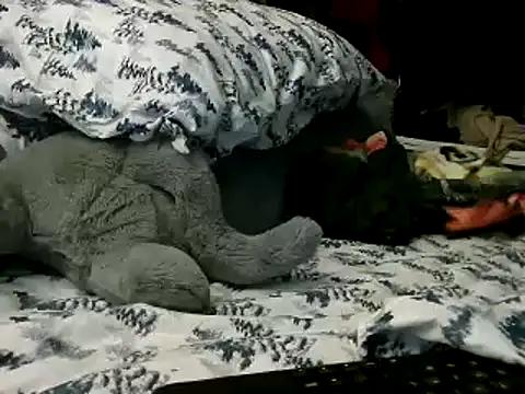 WHITEDAROSE online show from 01.15.25