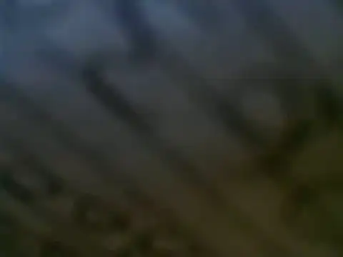 WHITEDAROSE online show from 03.12.25