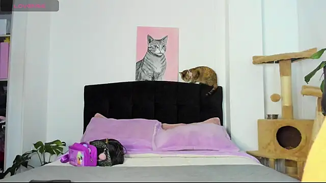 JuliaRose ks online show from 03.24.26