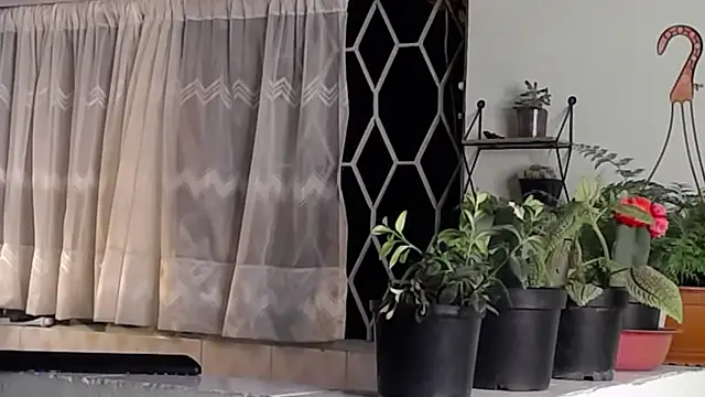 peyton golden1 online show from 01.16.25