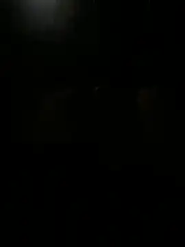 Jsp833 online show from 04.17.26