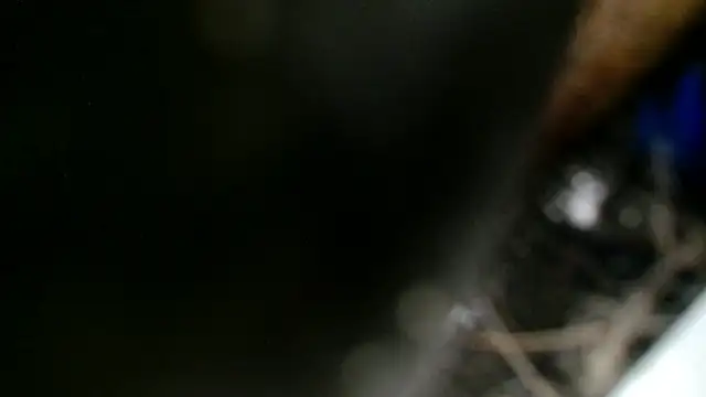 Gigadickman online show from 12.02.24