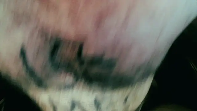 Gigadickman online show from 01.05.25