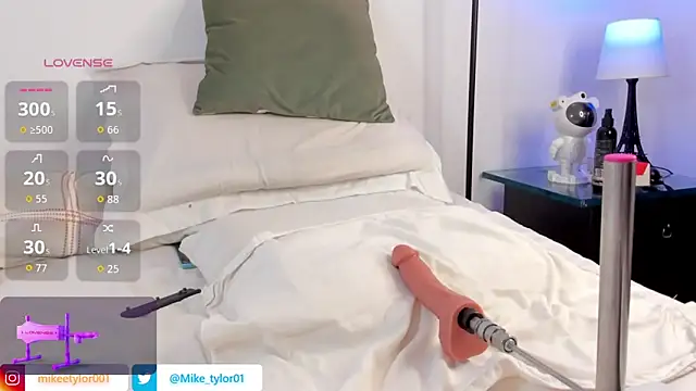 Snapshot of mike_tylor01 chatting on 11.08.25 mike tylor01 online show from 11.08.25