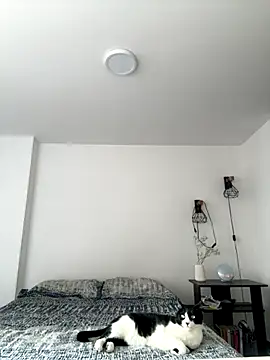 SofiaG  online show from 10.04.25