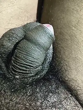 Snapshot of rajrahulovi chatting on 02.14.26 rajrahulovi online show from 02.14.26