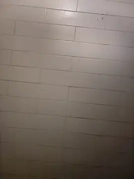 Wildherb244 online show from 12.21.24