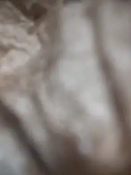 VL25DN26 online show from 03.09.26