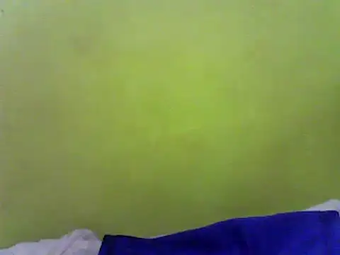 Snapshot of Claris2 chatting on 01.24.25 Claris2 online show from 01.24.25
