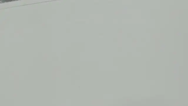 Littleolivia  online show from 02.04.25